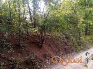 KOSMAJ, PLANDISTE/OGLAVCI, 16 ari u vikend naselju, blizu glavnog puta